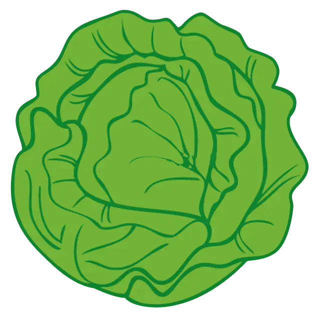 logo sac à salade by arminé